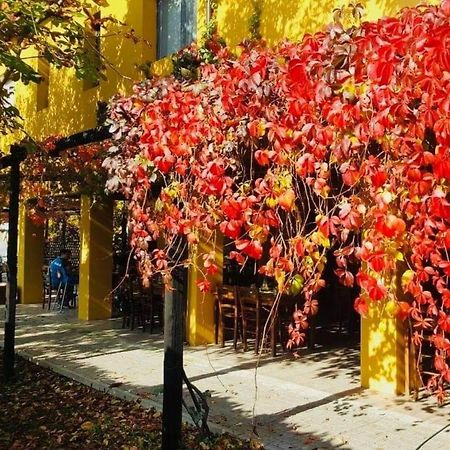 Cascina Bosco Gerolo Villa Rivergaro Eksteriør bilde
